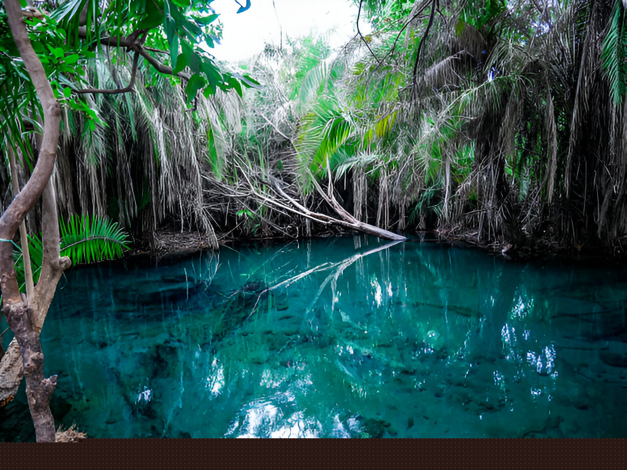 kikuletwa hot springs day trip – chemka oasis tanzania